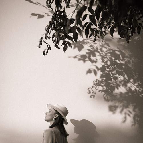 Photo #7236889