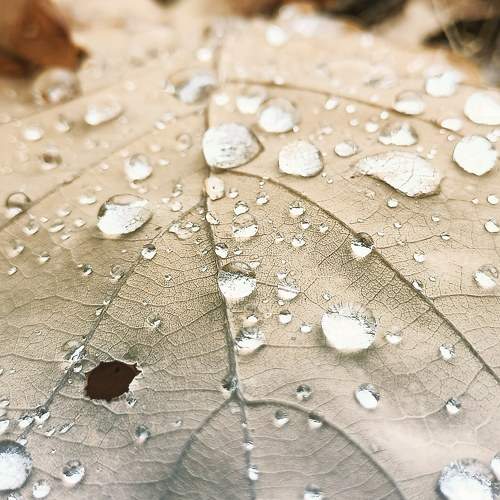 Photo #7237032