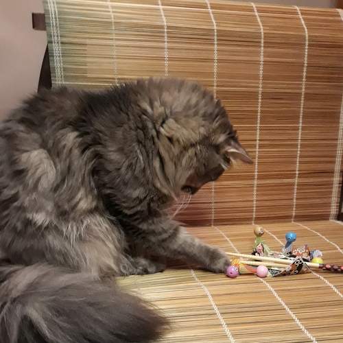 Photo #7237168