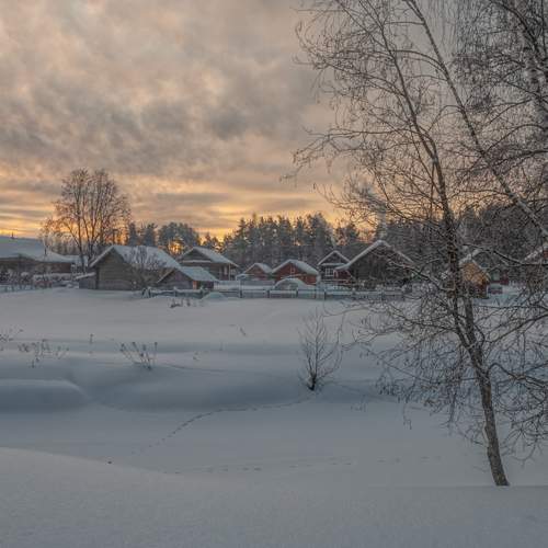 Photo #7237301