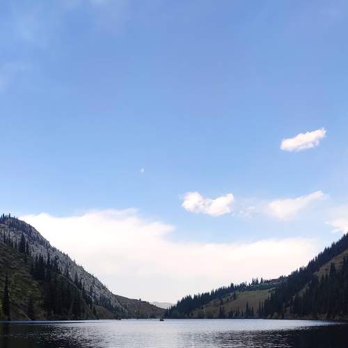Photo #7237549