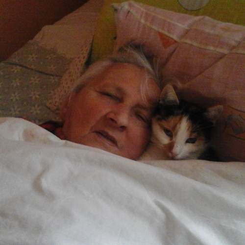 Photo #7238064
