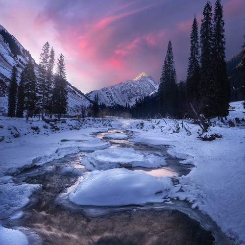 Photo #7238874