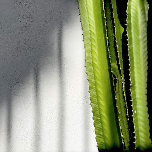 Photo #7239192