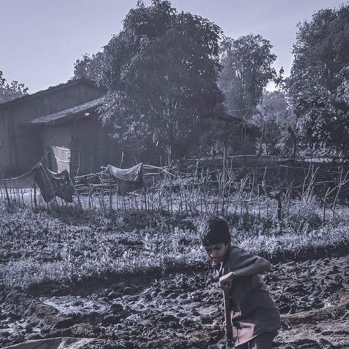 Photo #7239443