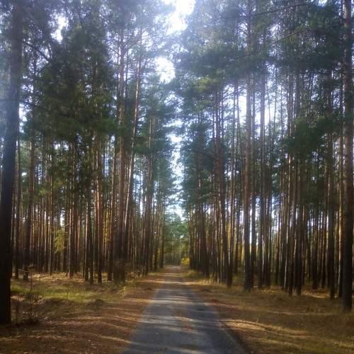 Photo #7239768