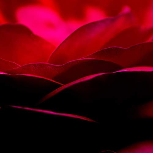 Photo #7239849