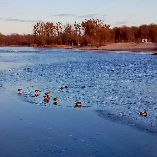 Photo #7240183
