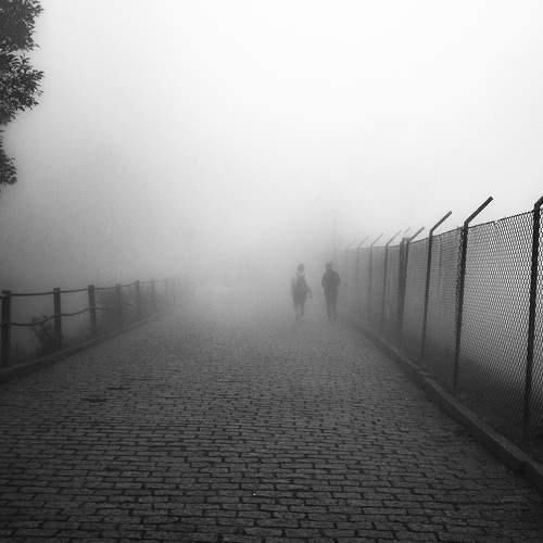 Photo #7240280