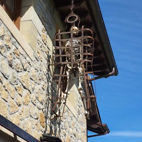 Photo #7240616