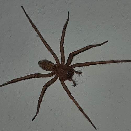 Photo #7240693