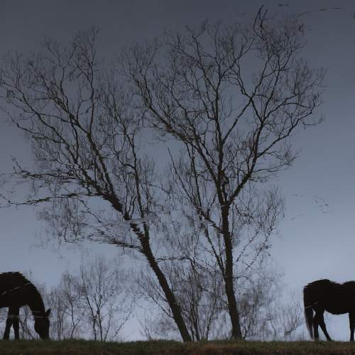 Photo #7240713