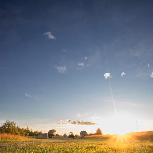 Photo #7240796