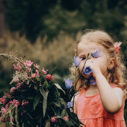 Photo #7240866