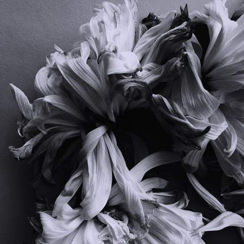 Photo #7241127