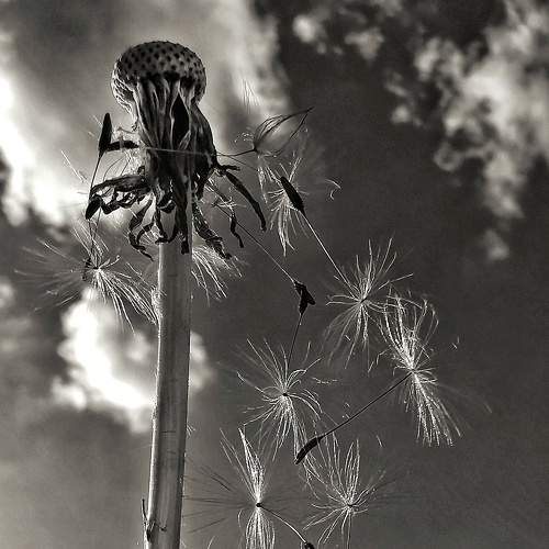 Photo #7241253