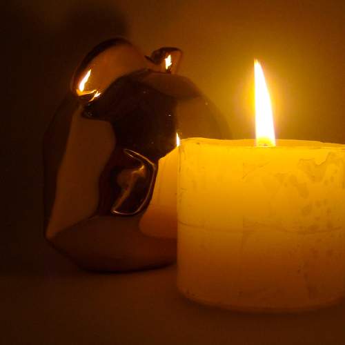 Photo #7241855