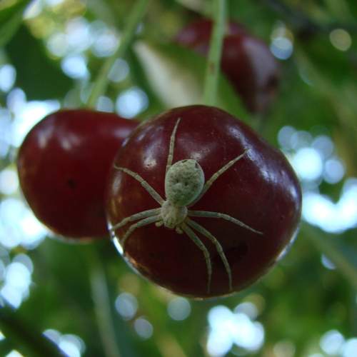 Photo #7242221