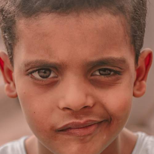 Photo #7242411