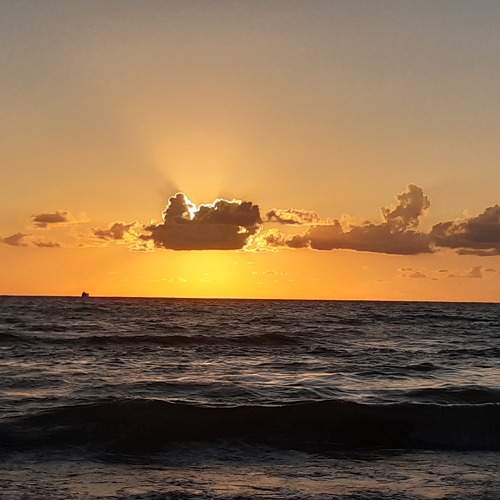 Photo #7242470