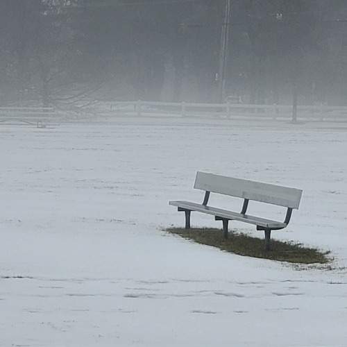 Photo #7242573