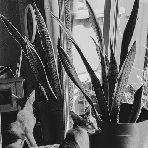 Photo #7242943