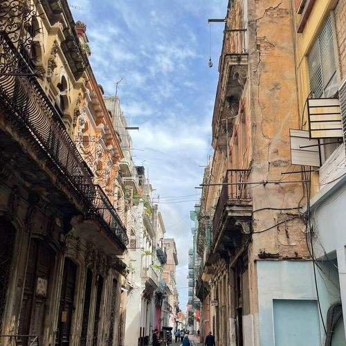 Photo #7243028