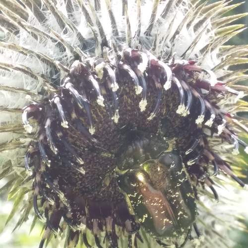 Photo #7243129
