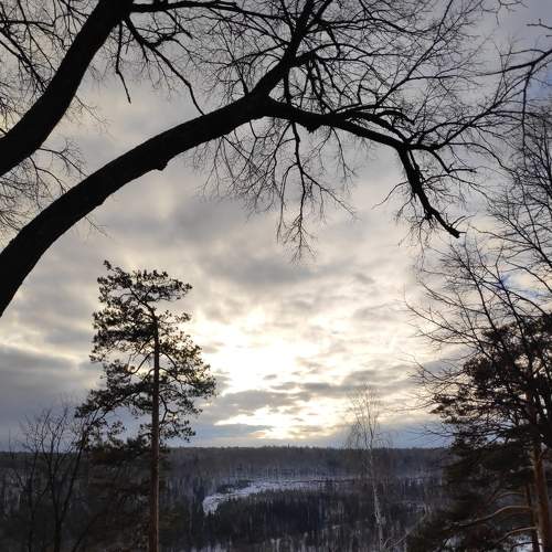 Photo #7243222