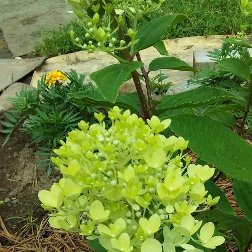 Photo #7243236