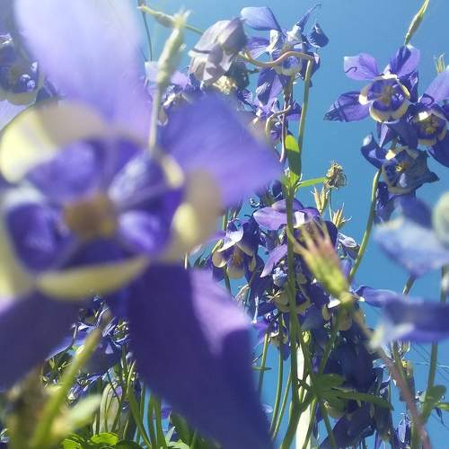 Photo #7243381