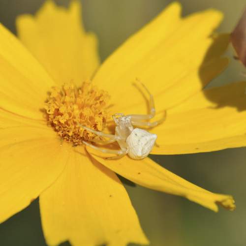 Photo #7243409