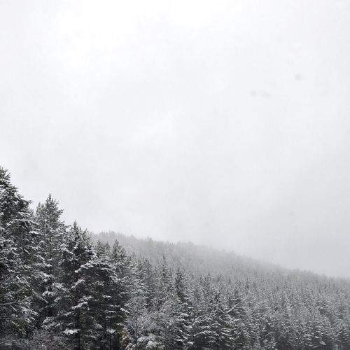Photo #7243469