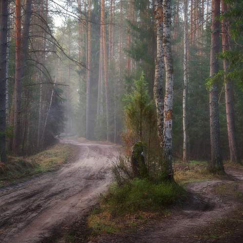 Photo #7243706