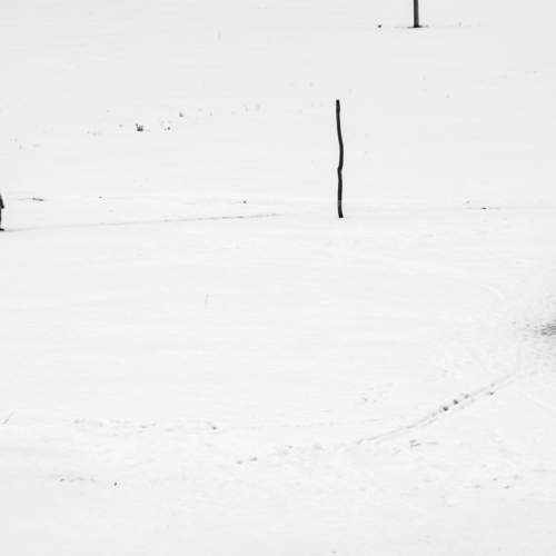 Photo #7244171