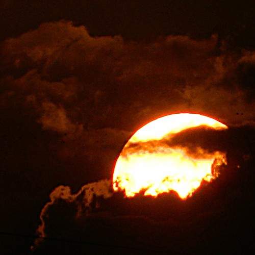Photo #7244321