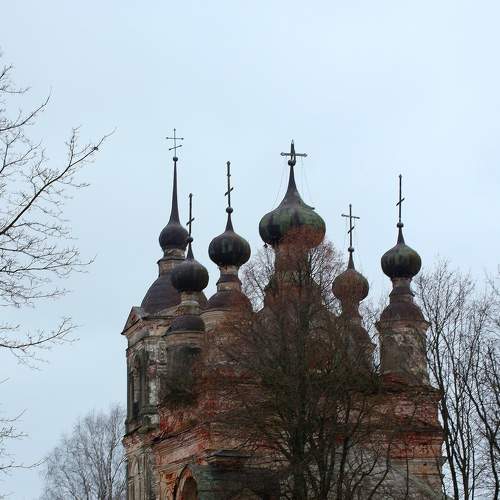 Photo #7244356