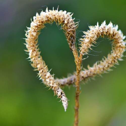 Photo #7244477
