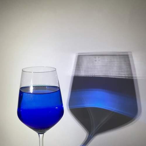 Photo #7244574