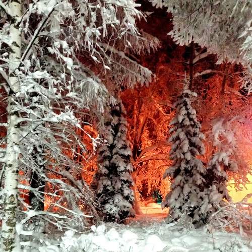 Photo #7244600