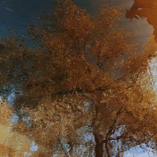 Photo #7244842