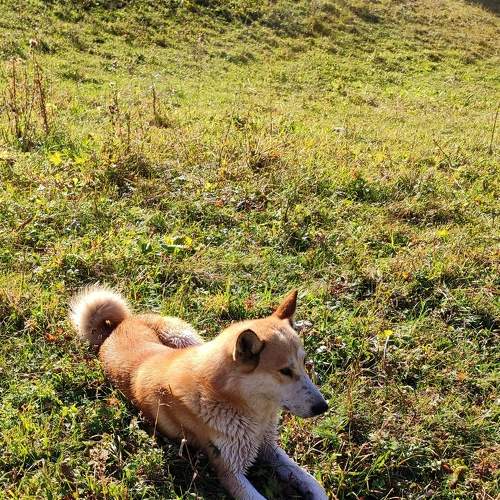 Photo #7244942