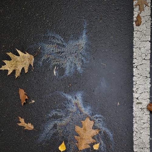 Photo #7244998