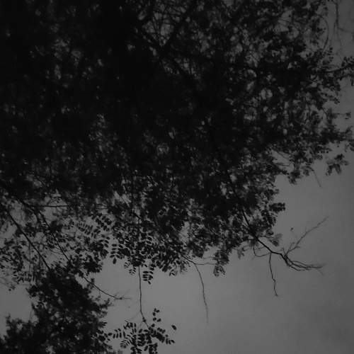 Photo #7245054