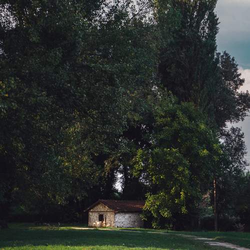Photo #7245103