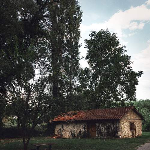 Photo #7245104