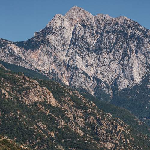 Photo #7245161