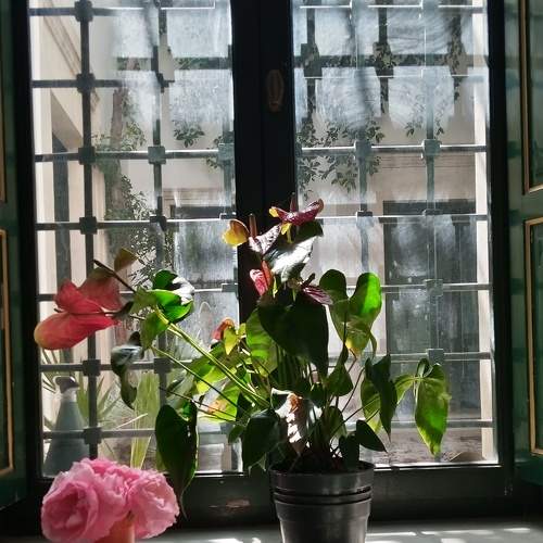 Photo #7245268