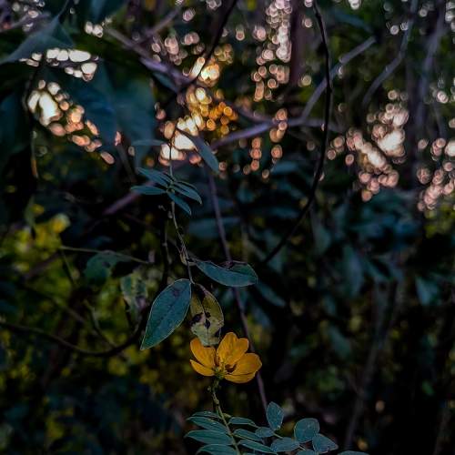 Photo #7245565