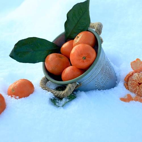 Photo #7245712